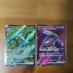 シャローダEX & ゲノセクトEX セット
