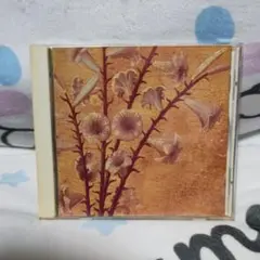 迷える百合達 黒夢 CD