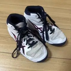 バスケットシューズ　20.0