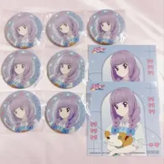 氷上スミレ アイカツ 缶バッジ 特典 linkribbon アニメイト