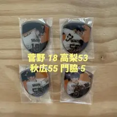 ジャイアンツ 2024 ピンバッジ
