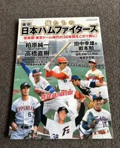 サインボール 大沢親分 2025年最新】大沢啓二 サインの人気アイテム - メルカリ