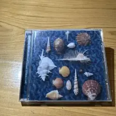 スピッツ 海の音楽 CD
