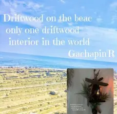 No.567⚜️流木インテリアアート 照明飾りシェルフ⭐️今ならランタン1個付き⭐️
