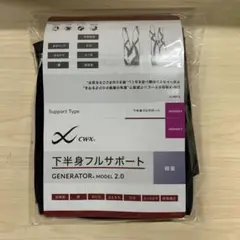 タグ付き未使用　Q3901 ワコール　CWX　レディース　HZY399 LL