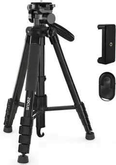 Item thumbnail for item 124679c6-288e-484f-9ea4-c1e8f8e9d92b