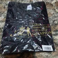 女子プロレス　マリーゴールド　非売品　ジュリア　Tシャツ　WWE AEW Amazon.co.jp: 女子プロレス マリーゴールド ジュリア選手 #10 T