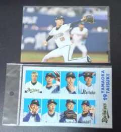 オリックス　山岡泰輔　オリジナル写真　証明写真セット