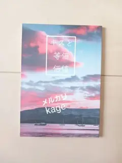 キスと等価価値 パブリックスクール 番外編 小冊子 樋口美沙緒 9ST 同人誌