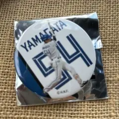 北海道日本ハムファイターズ ブラインド缶バッジ第4弾【山縣秀】