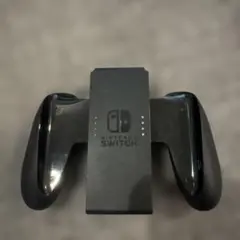 Nintendo Switch コントローラー黒
