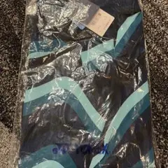 Item thumbnail for item e99054a9-666d-4bda-829e-3a27da77cbf0