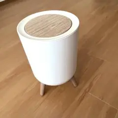 脚付き ダストボックス ゴミ箱 おしゃれ　可愛い　インテリア