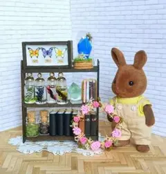 ミニチュア✩デラックス標本展示キャビネット