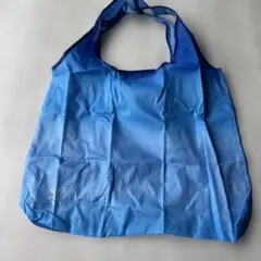 ANAエコバック