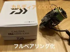 【フルベアリング化】 22カルディア4000cxh ダイワ