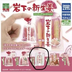 岩下の新生姜 ミニチュアコレクション スライス ガチャ