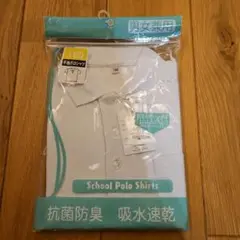 Item thumbnail for item 12ff14ac-693a-484a-bc49-b0faa100335e