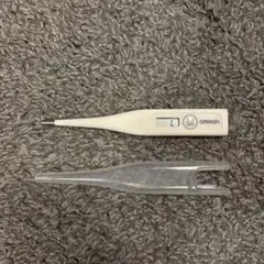 Item thumbnail for item 22d6bdd3-3877-48fd-91a6-ce860833f318