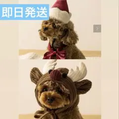 Item thumbnail for item c2c664ab-c648-4f6a-bf2d-11823b9986ec