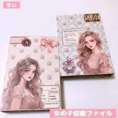 おすそ分け蛇腹ファイル 2点セット 女の子 花柄 コラージュ素材 収納ファイル
