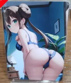 2枚セット 鑑賞用カード セクシーカード