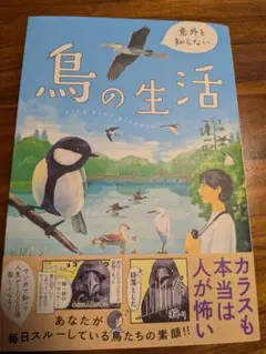 意外と知らない鳥の生活
