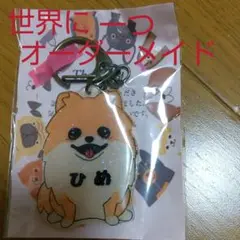 オーダーメイドの世界に一つ。ポメラニアン