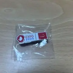 【非売品】大阪関西万博　チリパビリオン　ピン