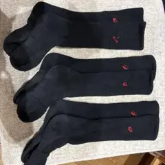 Item thumbnail for item bfa0d8a5-de24-4246-be13-b45ca30a26bb