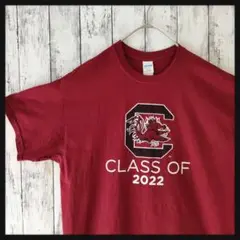 アメリカ古着　半袖Tシャツ　GILDAN　L　ワインレッド