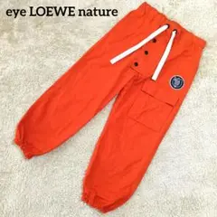 Item thumbnail for item 84e13fb0-0049-4917-8585-0f6593673c1d