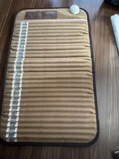 Richway バイオマットアメジスト ☆リッチウェイ ミニバイオマット 7000mx 温熱マット - メルカリ