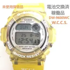 未使用保管品　G-SHOCK　DW-9600WC　電池入替済　稼働品　PJ31