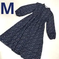 Item thumbnail for item e2f4d3b6-518a-40f9-bbf5-de04d27e946d