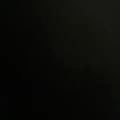 専用