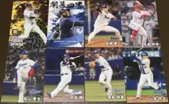 プロ野球チップス2025 セリーグ