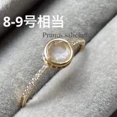 Item thumbnail for item e8e4c1bf-8ca1-479d-8c43-e813ecac3aa8