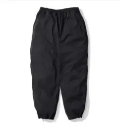 Item thumbnail for item 90fdcd1f-1fdc-4eeb-af84-7419388f3f7d