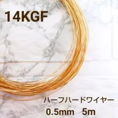 Item thumbnail for item 4bdb9fcb-2389-4ba0-9de8-4e463df3fc91