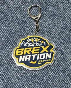 宇都宮ブレックス BREX キーホルダー