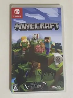 Minecraft Nintendo Switch
