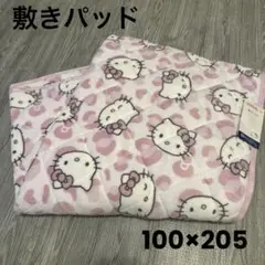 Item thumbnail for item ce05a7f5-356e-48a1-a761-47466a85b03d