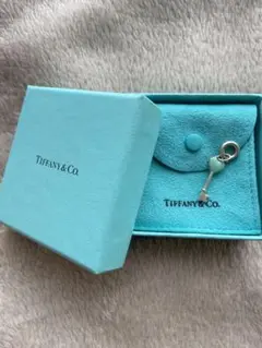 TIFFANYu0026Co. キーモチーフ SV925 ペンダントトップ
