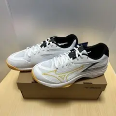 【新品＊未使用】Mizuno サンダーブレードZ 25.0cm