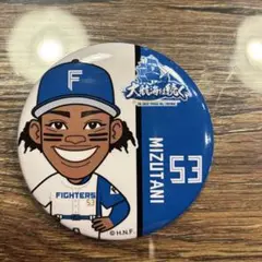 水谷瞬　缶バッジ　ファイターズガチャ