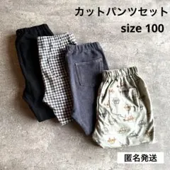 送料込)カットパンツ/4点セット/100サイズ