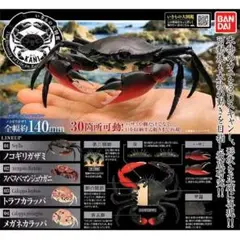 Item thumbnail for item 7c5650c4-c26d-4b99-addf-b8cdbfb31fa9