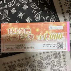 村上満喫クーポン 5000円分 新潟県