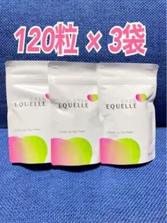 EQUELLE エクエル パウチ 120粒 x 3袋